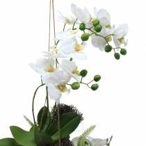 Orchidee mit Farn und Moosballen künstlich Weiß Hängend 64cm