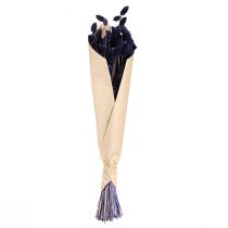 Artikel Phalaris Trockenblumenstrauß Glanzgras 50-55 cm Violett 100 g