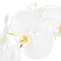 Artikel Künstliche Orchidee Weiß im Topf 62 cm aus Polyester für Wohnraumdekoration