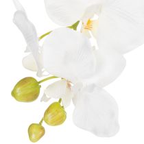 Artikel Künstliche Orchidee Weiß im Topf 62 cm aus Polyester für Wohnraumdekoration