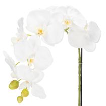 Artikel Künstliche Orchidee Weiß im Topf 62 cm aus Polyester für Wohnraumdekoration