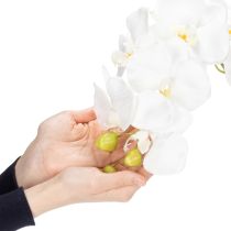 Artikel Künstliche Orchidee Weiß im Topf 62 cm aus Polyester für Wohnraumdekoration