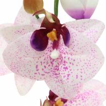 Künstliche Orchidee Phaleanopsis Weiß, Lila 43cm