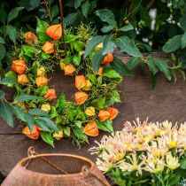 Physalis Kranz künstlich Orange, Grün Ø28cm Herbstdeko