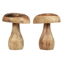 Holzpilze Deko Pilze Holz Natur Herbstdeko Ø10cm H12cm 2St