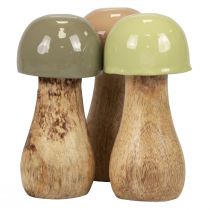 Artikel Holzpilze Deko Pilze Holz Beige, Grün Ø5cm H10,5cm 6St