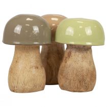 Holzpilze Deko Pilze Holz Beige, Grün Ø5cm 7,5cm 12St