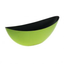 Deko-Schale Pflanzschale Grün 39cm x 12cm H13cm