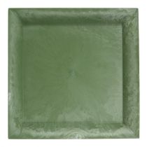 Plastikteller Grün eckig 26cm x 26cm