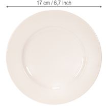 Artikel Teller aus Kunststoff rund 17cm Apricot 6 Stück Dekoration und Gestecke