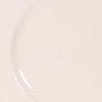 Artikel Teller aus Kunststoff rund 17cm Apricot 6 Stück Dekoration und Gestecke