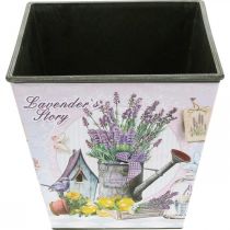Artikel Pflanztopf Lavendelmotiv eckig Kunststoff H13cm B13,5cm Grau Bunt