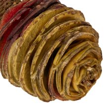Artikel Platyspermum Köpfe mit Stiel Creme 5-7,5 cm, 50 Stück aus Holz