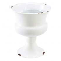 Pokalvase Deko Pokal Weiß Rost Ø13,5cm H15cm Shabby Chic