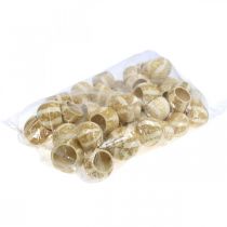 Artikel Kürbis Deko Bell Cup Pumpkin Cup gebleicht 50 St