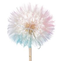 Artikel Pusteblume Trockenblume elegant langlebig pflegeleicht 50cm 4St