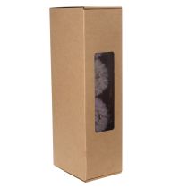 Artikel Riesen-Pusteblume Trockenblumen Rosa 50cm 4 Stück