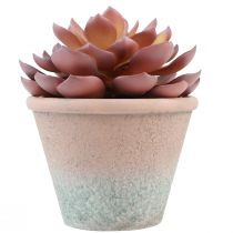 Artikel Sukkulente im Topf Echeveria künstlich Rot Vintage Ø15cm H16cm