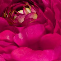 Artikel Künstliche Ranunkel Einzelblume Seidenstoff 51cm Pink 3 Stück