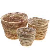 Artikel Pflanzkorb Rattan Natur/Braun Ø26/22/16cm 3St