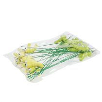 Artikel Raupe aus Holz am Stab Grün, Gelb 8cm 24 St