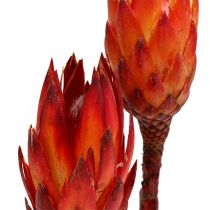 Repens Rot 2-Ton 25St
