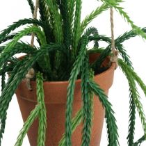 Rhipsalis künstlich Korallenkaktus Hängeampel H87cm