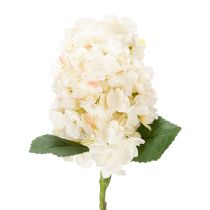 Artikel Künstliche Hortensie weiß 62cm aus Polyester und Kunststoff für Wohnräume