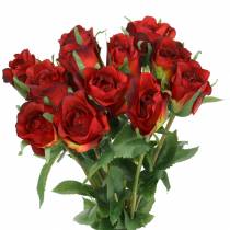 Rose Rot 42cm 12St