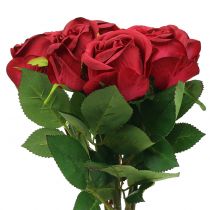 Rose Rot 44cm 6St