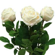 Rose in rosa 65cm 4St