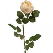 Rose Cremefarben, Seidenblume, künstliche Rose L74cm Ø7cm