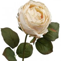 Artikel Künstliche Rose Cremefarben, Seidenblume mit Blattwerk, 74cm, Ø7cm