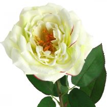Rose künstlich, Deko-Rose, Seidenblume Cremeweiß, Grün L72cm Ø12cm