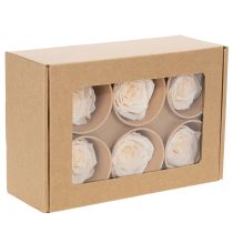 Artikel Konservierte Rosenköpfe aus echten Blüten Creme 4-5 cm 6 Stück