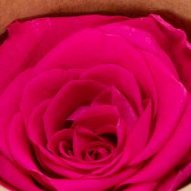 Artikel Konservierte Rosen Rosa 4-5 cm Durchmesser 6er Set Tischdekoration
