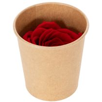 Artikel Konservierte Rosen Rot 5 cm 6 Stück für Dekoration und Hochzeiten