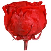 Artikel Rote Rosen Infinity Rosen Echte Rosenköpfe Rot Ø6cm 6 St