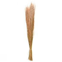 Artikel Rotes Straußgras Agrostis Trockengräser Rotbraun 65cm 80g