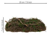 Artikel Runde Pflanzschale aus Moos und Reben