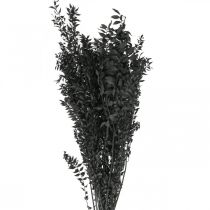 Ruscus Zweige Dekozweige Trockenblumen Schwarz 200g