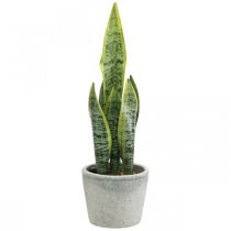 Künstlicher Bogenhanf, Grünpflanze im Topf, Sansevieria H39cm Ø12cm