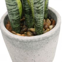 Künstlicher Bogenhanf, Grünpflanze im Topf, Sansevieria H39cm Ø12cm