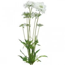 Skabiose Kunstblume Weiß Gartenblume H64cm Bund mit 3St