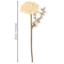 Artikel Schafgarbe künstlich Creme Achillea Kunstblumen 30cm 6 St