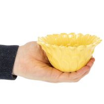 Artikel Blumenschale Keramik 13 cm Gelb Set 2 Stück Innenbereich