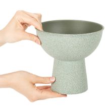 Artikel Pflanzschale aus Metall mit hohem Fuß, rund, 18 cm, hellgrün