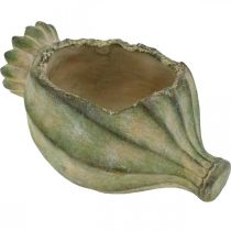 Deko-Mohnkapsel, Pflanzschale aus Beton, Übertopf, Grabdeko L26cm