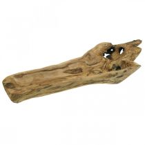 Dekoschale Paulownia Holz, Blumentablett, Holzgefäß L58cm H7–8cm