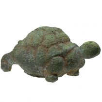 Gartenfigur Schildkröte bemoost 30cm x 18cm H15cm